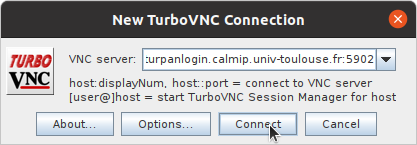 New TurboVNC Connection